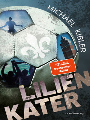 cover image of Lilien-Kater